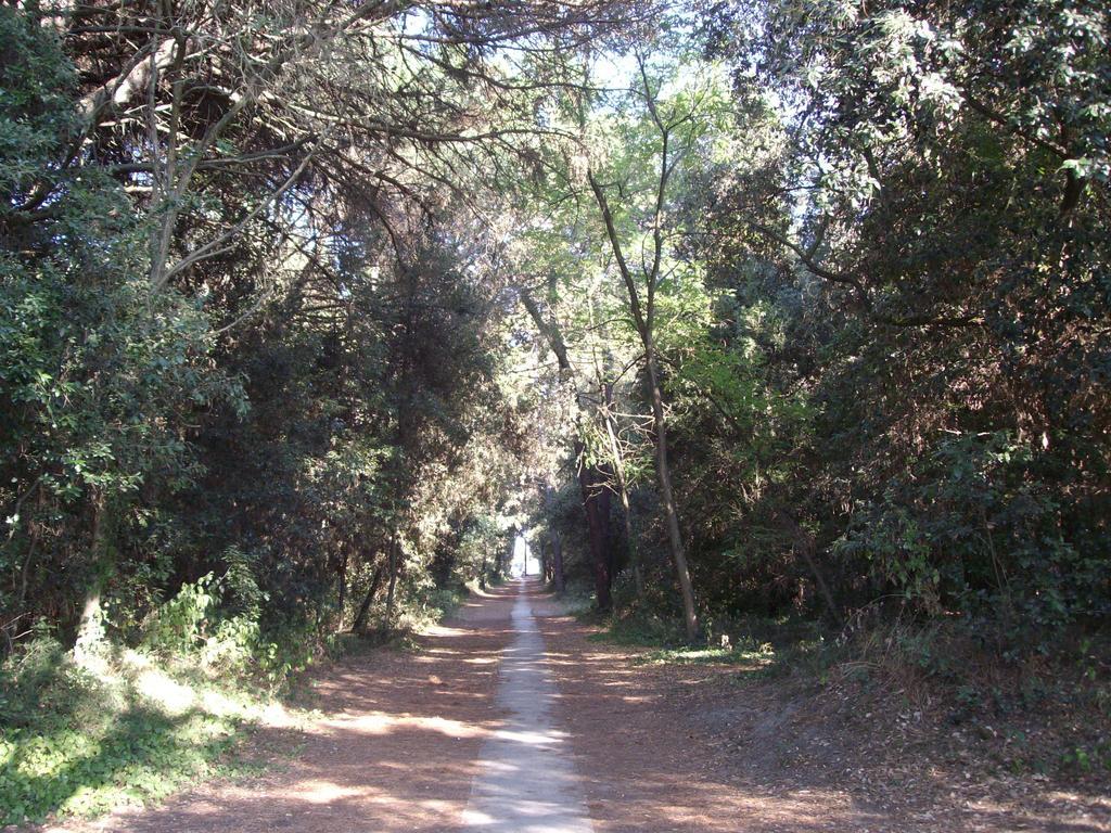 Agenzia Vear - Lido Di Volano Bagian luar foto